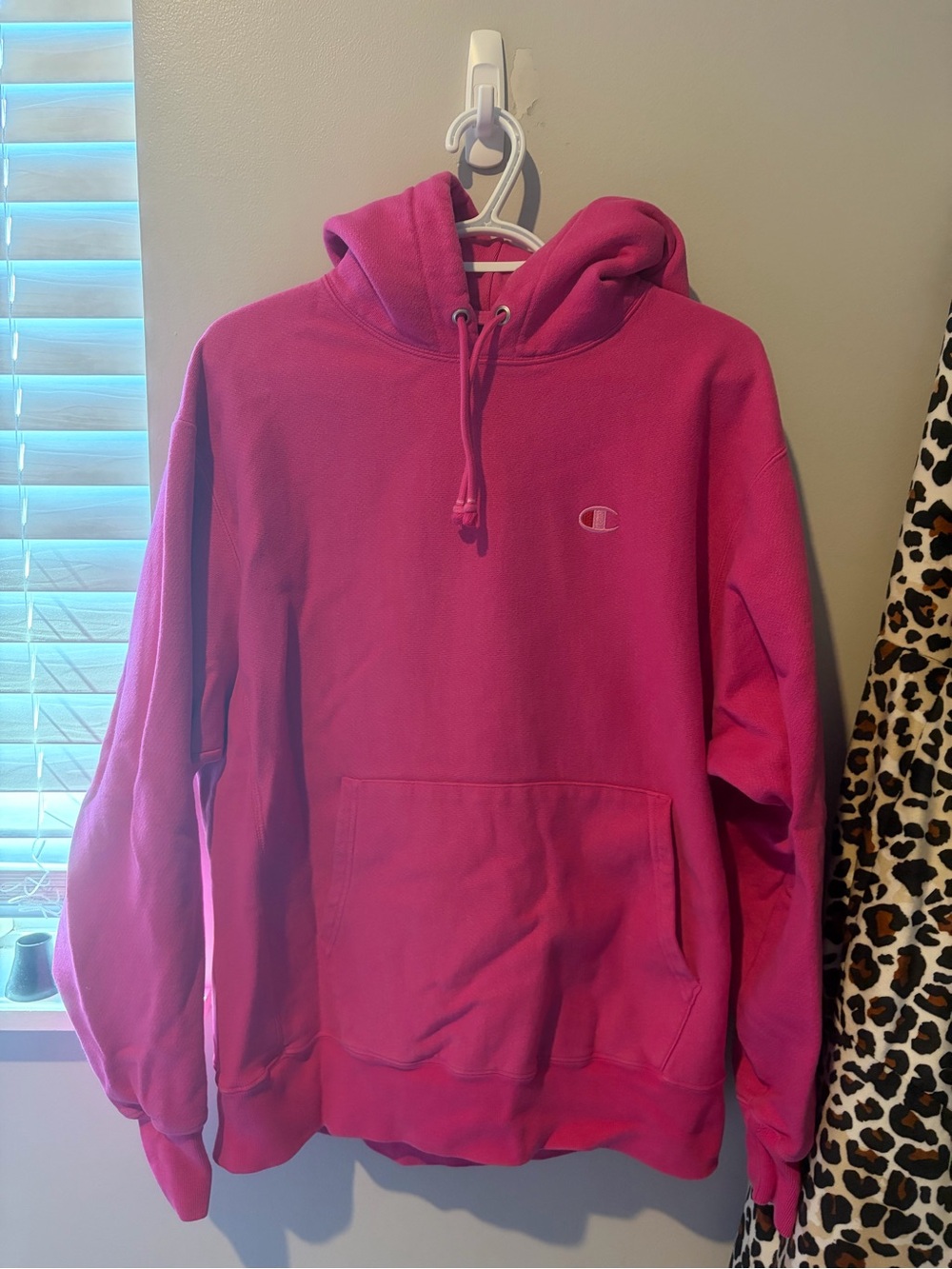 Champion Pink Hooded Sweatshirt